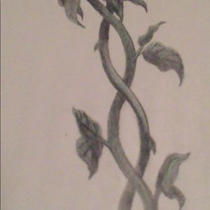 Meet your Posher, King